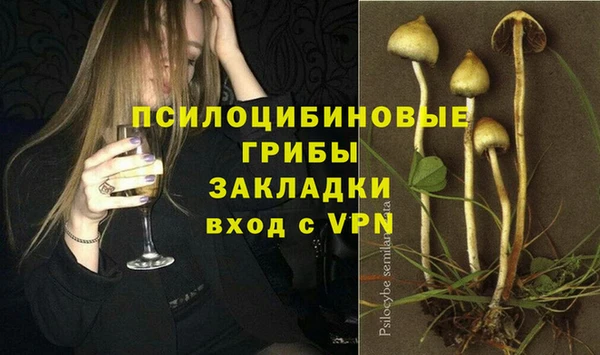 экстази Белокуриха